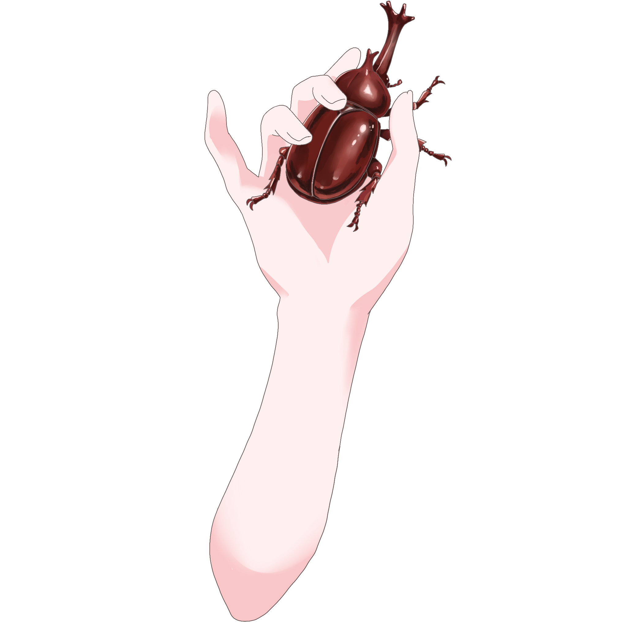 Vtuber向けフリー素材｜カブトムシを持つ手のイラスト