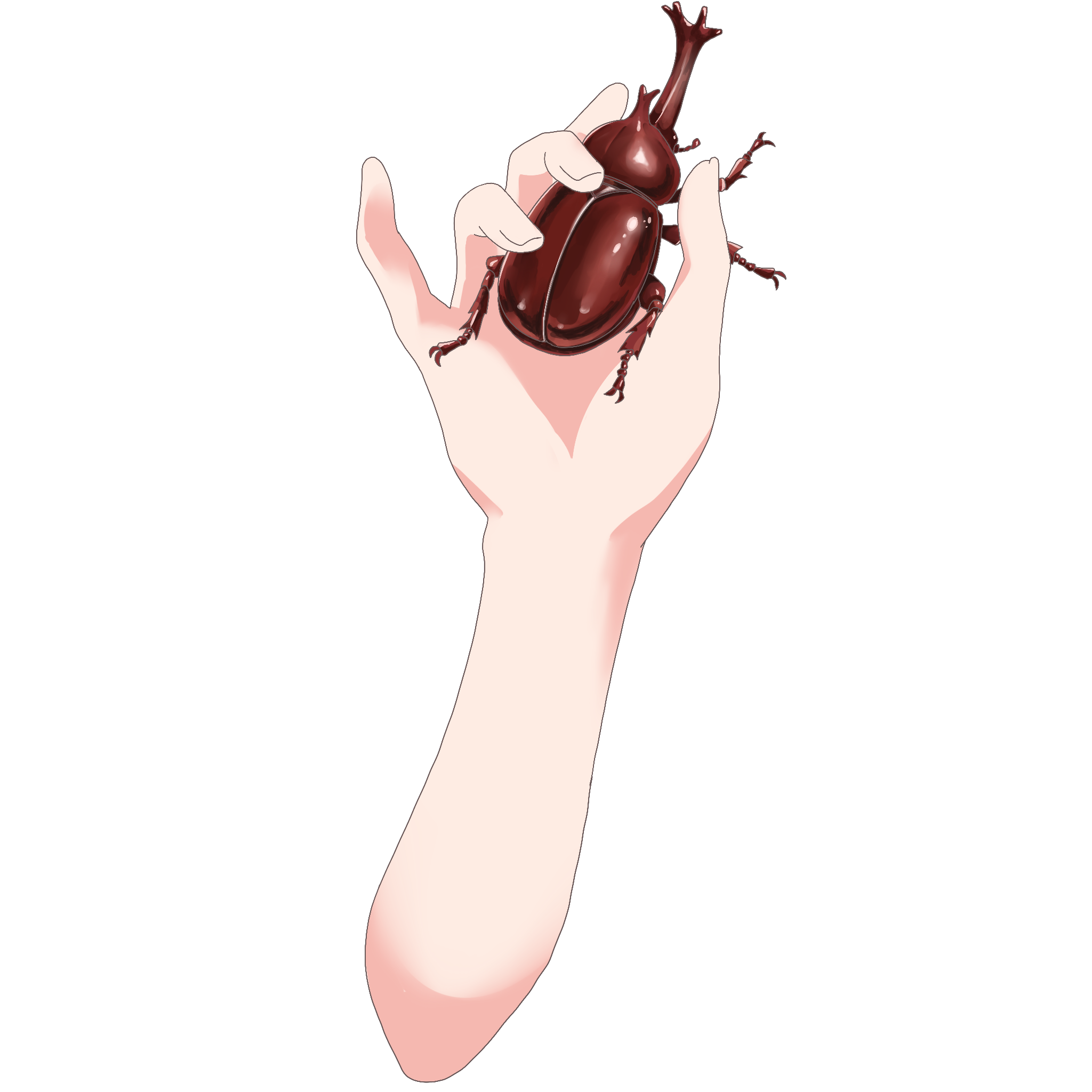 Vtuber向けフリー素材｜カブトムシを持つ手のイラスト