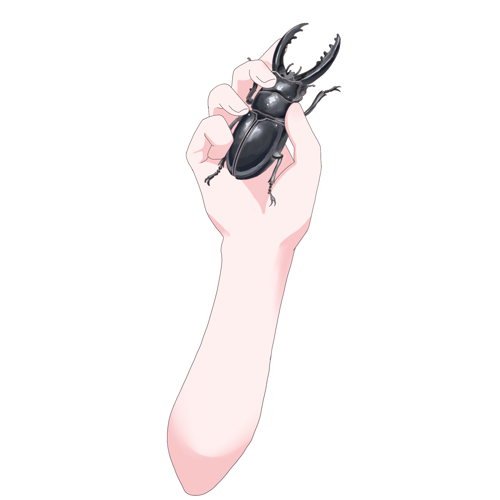 Vtuber向けフリー素材｜クワガタを持つ手のイラスト